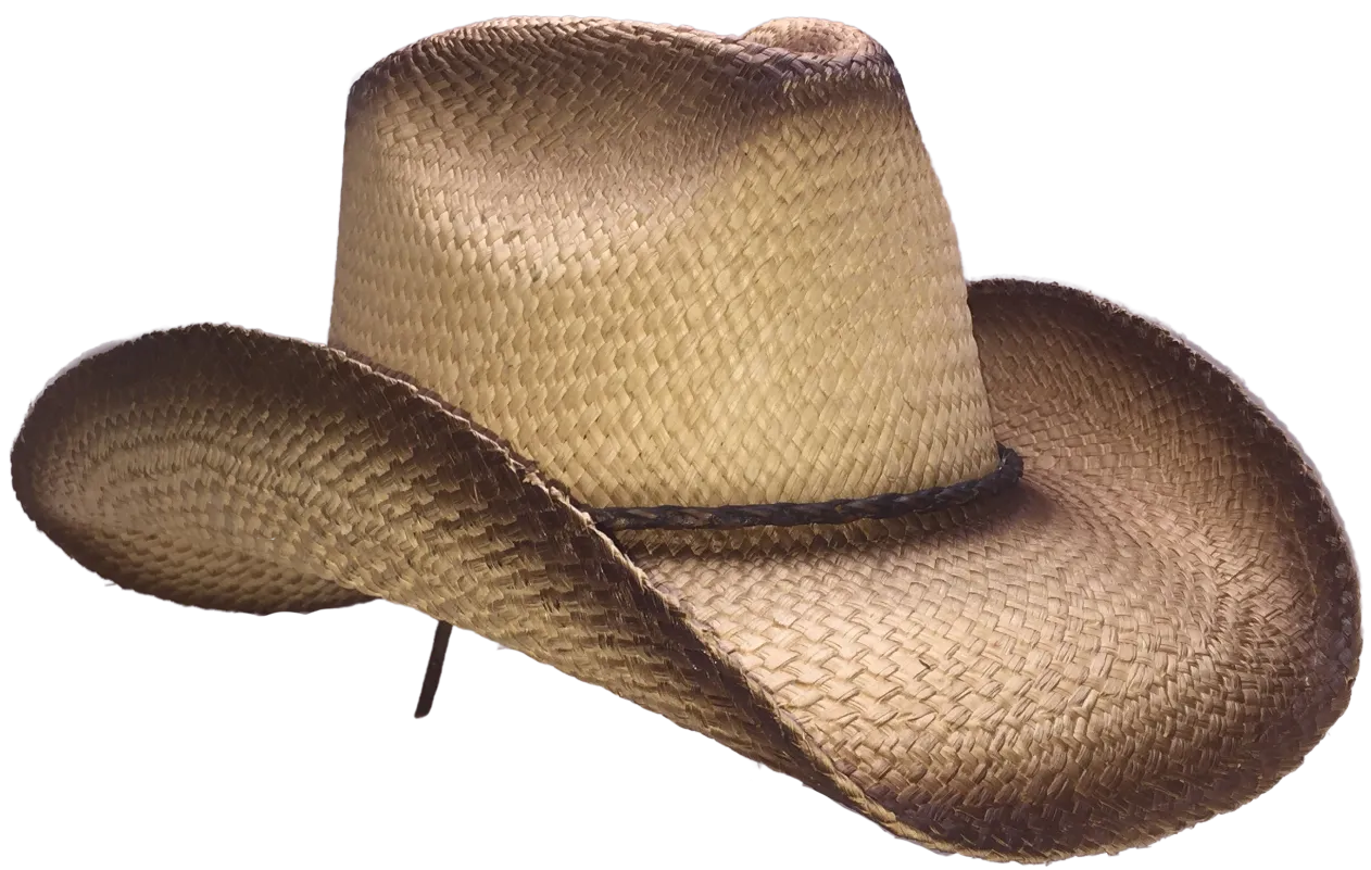 DUSTED Straw Cowboy Hat by Austin