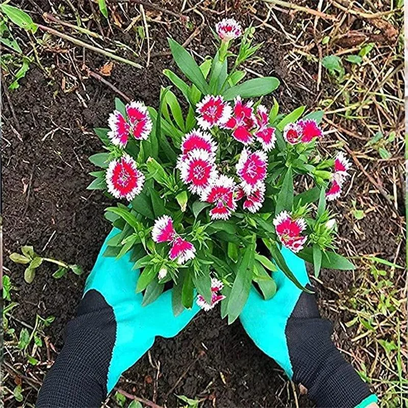 Gardening Gloves with Claws