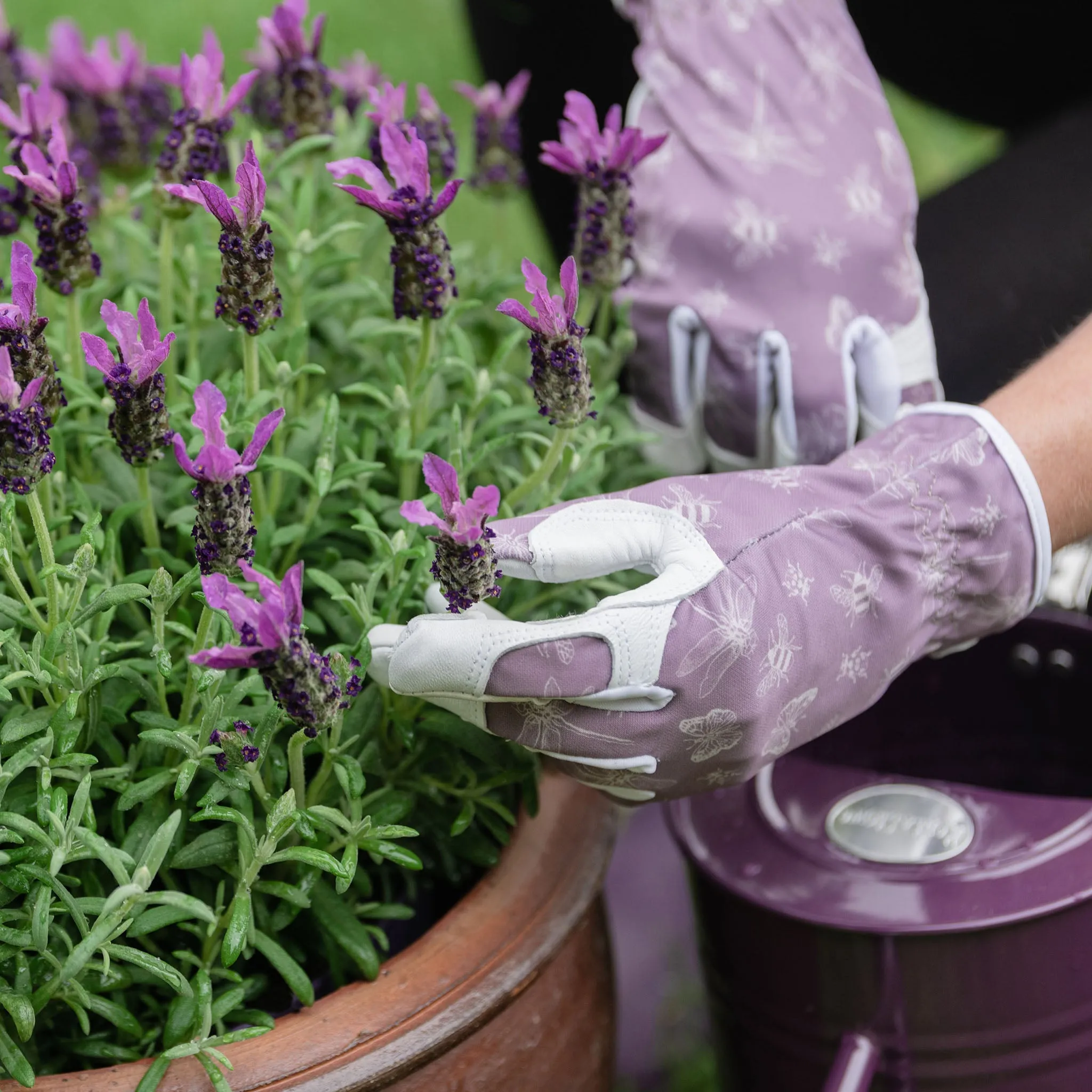 Kent & Stowe Purple Flutter Bugs Premium Leather Gloves