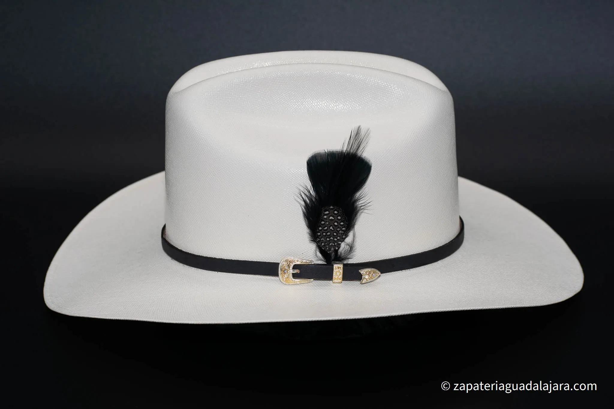 TENNESSEE 10,000x BLACK FEATHER HAT